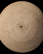 Drewniany zagłówek do sauny – ergonomiczne podparcie karku w saunie i spa – zdjęcie produktu 4